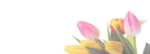 Mézes Gergő Vendégház – Vizsoly
