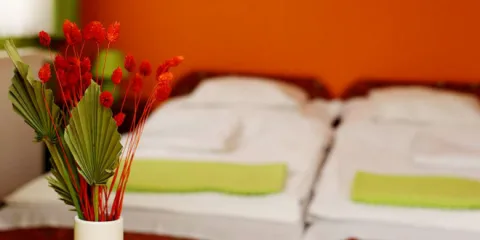Vöcsök Vendégház – Gárdony