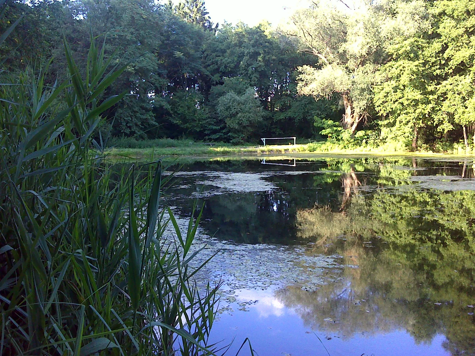 Csesztve – illusztráció