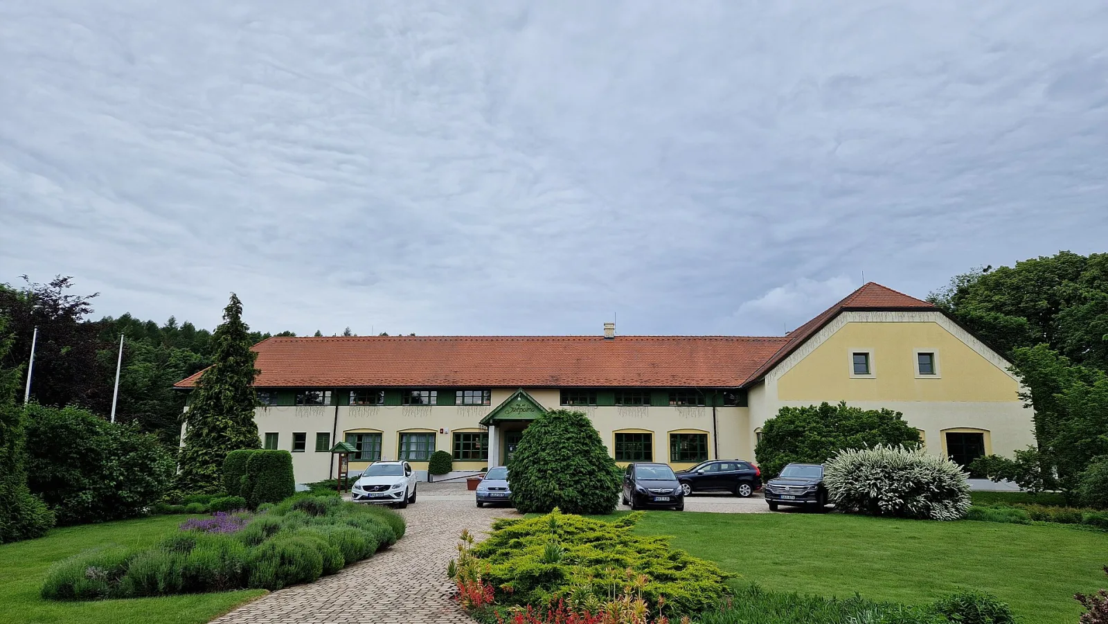 Kisszépalma – illusztráció